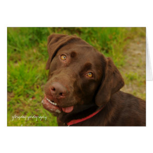 Hershey