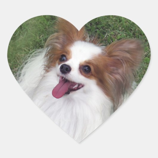 Hershey Kiss Hero Heart Sticker (Voorkant)