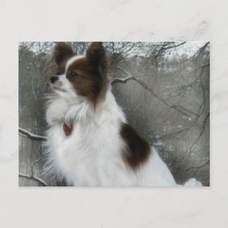 Hershey Kiss Hero Kennel DB Briefkaart