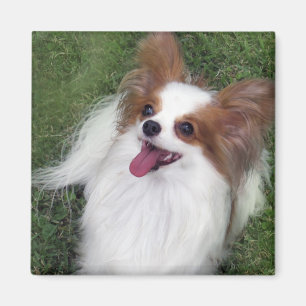 Hershey Kiss Hero Kennel Merchandise Magneet