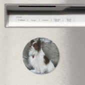 Hershey Kiss Hero Kennel Merchandise Magneet (Insitu (Vaatwasser))