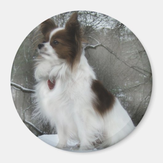 Hershey Kiss Hero Kennel Merchandise Magneet (Voorkant)