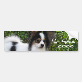 Hershey Kiss Hero Kennel Sticker beschikt over Gio