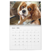 Hershey Pup Cute Cavalier King Charles Calendrier (Mar 2026)
