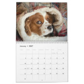 Hershey Pup Cute Cavalier King Charles Calendrier (Jan 2027)