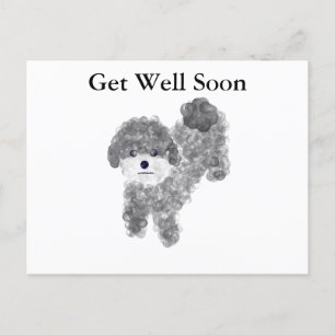 Herstel Snel Grijze Poodle #1 Ansichtkaart Briefkaart
