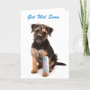Herstel snel kaart Border Terrier hond