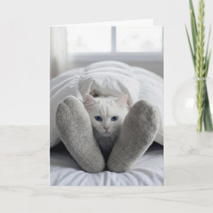 Herstel snel kat onder een deken kaart