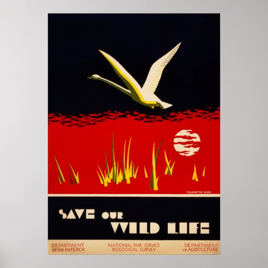 hersteld sparen onze wilde zwemmer poster (Voorkant)