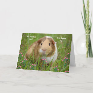 Herstelkaart voor huisdier cavia kaart