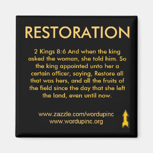 herstelmagneet magneet