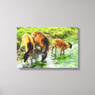 Hert dier canvas afdruk