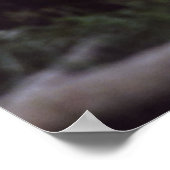 hert tussen bomen poster (Hoek)