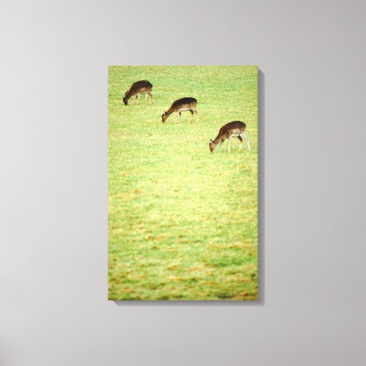 Herten 3 canvas afdruk (Voorkant)
