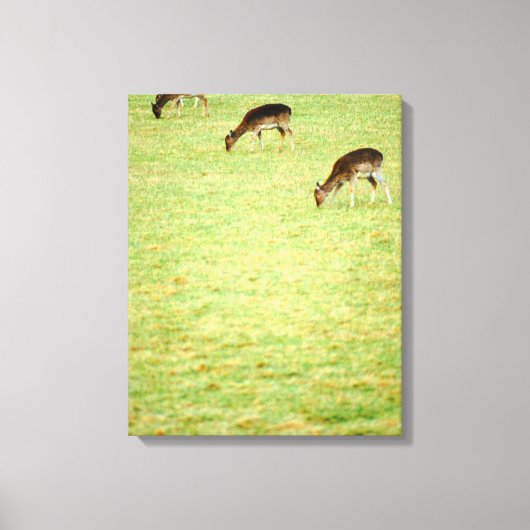 Herten 3 canvas afdruk (Voorkant)