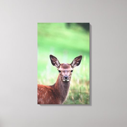 Herten 4 canvas afdruk (Voorkant)