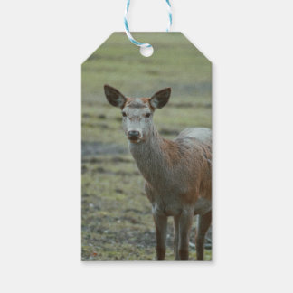 Herten cadeau labels cadeaulabel