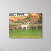 Herten canvas afdruk (Voorkant)