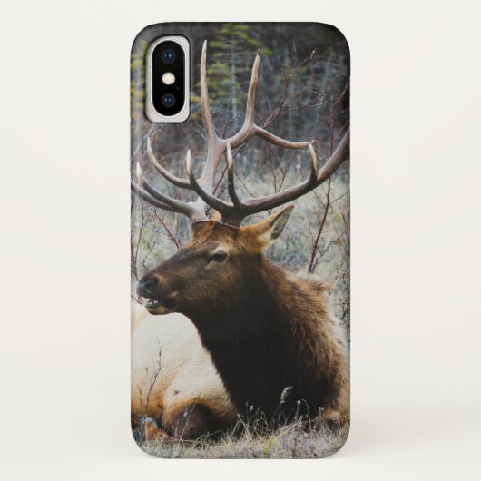 Herten Case-Mate iPhone Case (Achterkant)