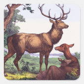 Herten familie plein Sticker (Voorkant)