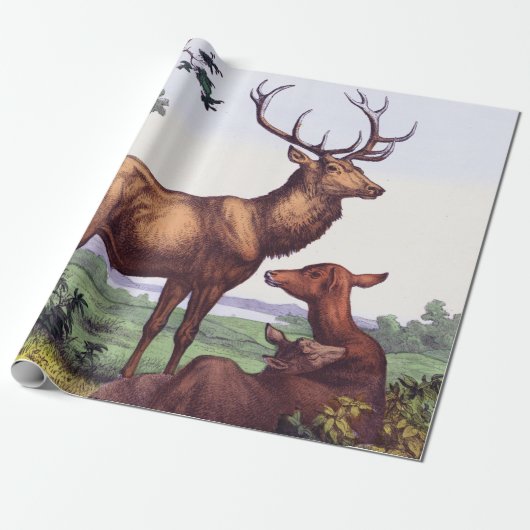 Herten familie  verjaardag cadeaupapier (Uitgerold)