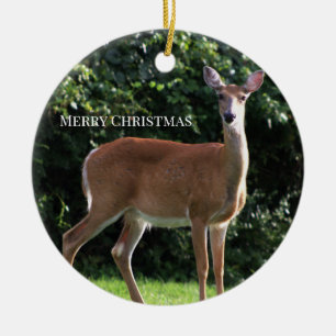 Herten Foto Ornament