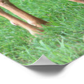 Herten Foto Poster (Hoek)