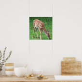 Herten Foto Poster (Keuken)