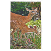 Herten fotoboek kalender2 kalender (Mar 2026)