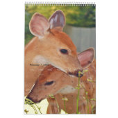 Herten fotoboek kalender2 kalender (Feb 2026)