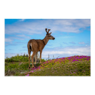 Herten Glanzende Poster Kust Wilde Bloemen Scene Perfect Poster