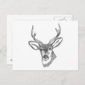 Herten hoofd schets briefkaart (Voorkant / Achterkant)