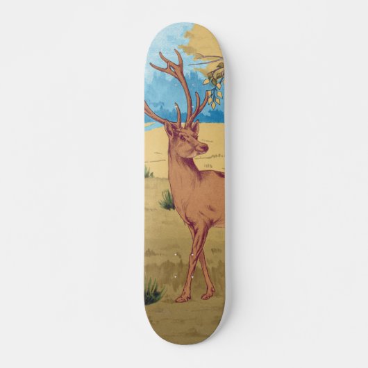 Herten in Bos  Dier Skateboard (Voorkant)