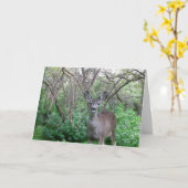 Herten in Bossen worden snel gezond Kaart (Gele Bloem)