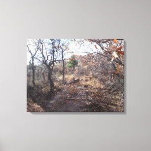Herten in de Bossen Canvas Print
