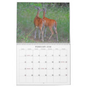 Herten in de wilde fotografische kalender (Feb 2026)