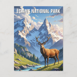 Herten in Écrins Nationaal Park Frankrijk Reizen Briefkaart