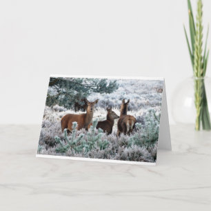 Herten in een de winterscène feestdagen kaart