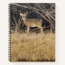 Herten in het kreupelhout Spiraal Notebook