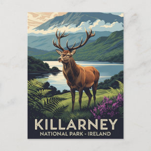Herten in Killarney National Park Ierland Reizen Briefkaart