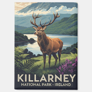 Herten in Killarney National Park Ierland Reizen Magneet