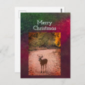 Herten Kerstkaart Briefkaart (Voorkant / Achterkant)