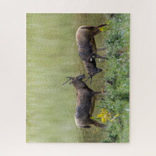 Herten Legpuzzel