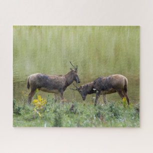 Herten Legpuzzel