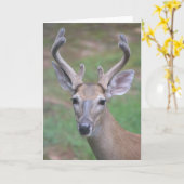 Herten met Antlers Kaart (Gele Bloem)