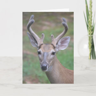 Herten met Antlers Kaart