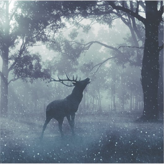 Herten met gewei in een schaduwrijk bos sticker (Voorkant)