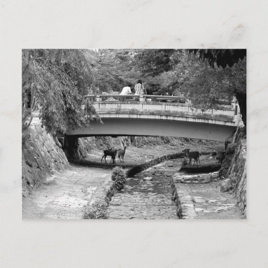 Herten onder een Japanse brug Briefkaart (Voorkant)