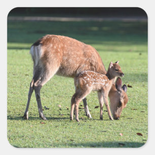 Herten, Ouder kind, Morgen Vierkante Sticker
