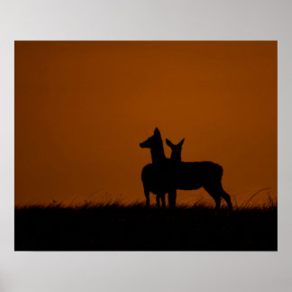 Herten Silhouetten bij Zonsondergang Natuurfotogra Poster